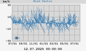 Wind Vector